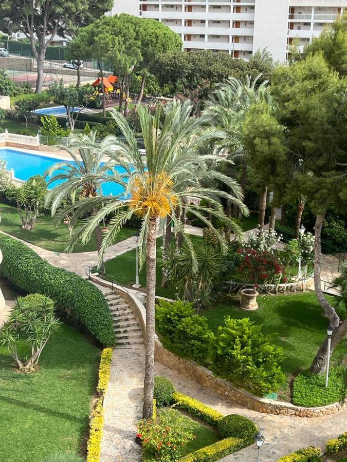 Playmon Park Levante Beach Benidorm Eksteriør billede